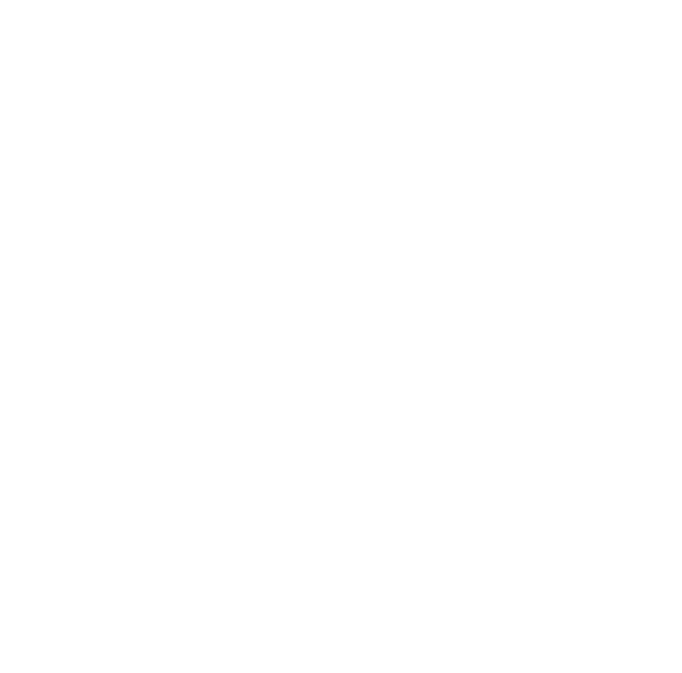 White Bug Transparent